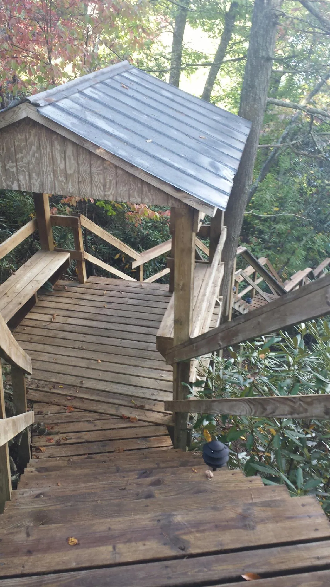 Metal roofed shelter over wooden steps on a wooded walkway — Skylight Repair & Installation work by our crew in Palm